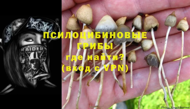 купить наркотики цена  hydra tor  Псилоцибиновые грибы MAGIC MUSHROOMS  Вилючинск 